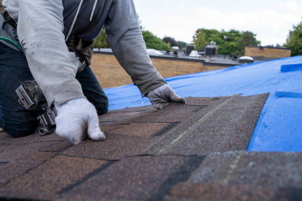 Best Emergency Roof Repair  in Farmer City, IL