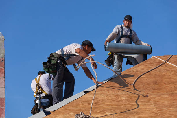 Best Slate Roofing Contractor  in Farmer City, IL
