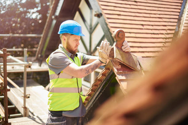 Best Commercial Roofing Services  in Farmer City, IL